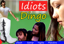 dingo idiots colleges nepal